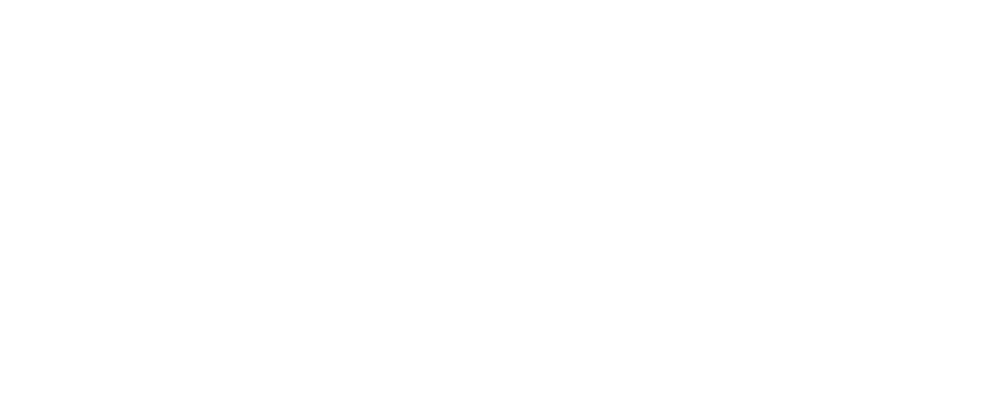 dss-consent
